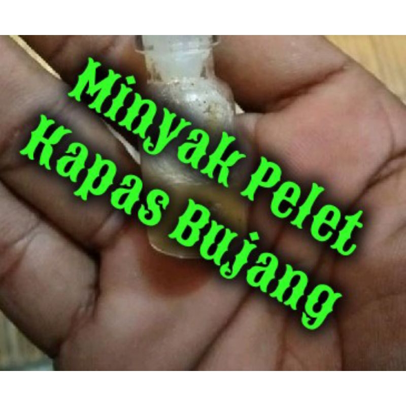 

Minyak kapas bujang aktif