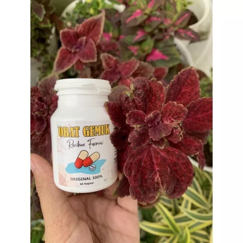 

obat gemuk farmasi isi 60
