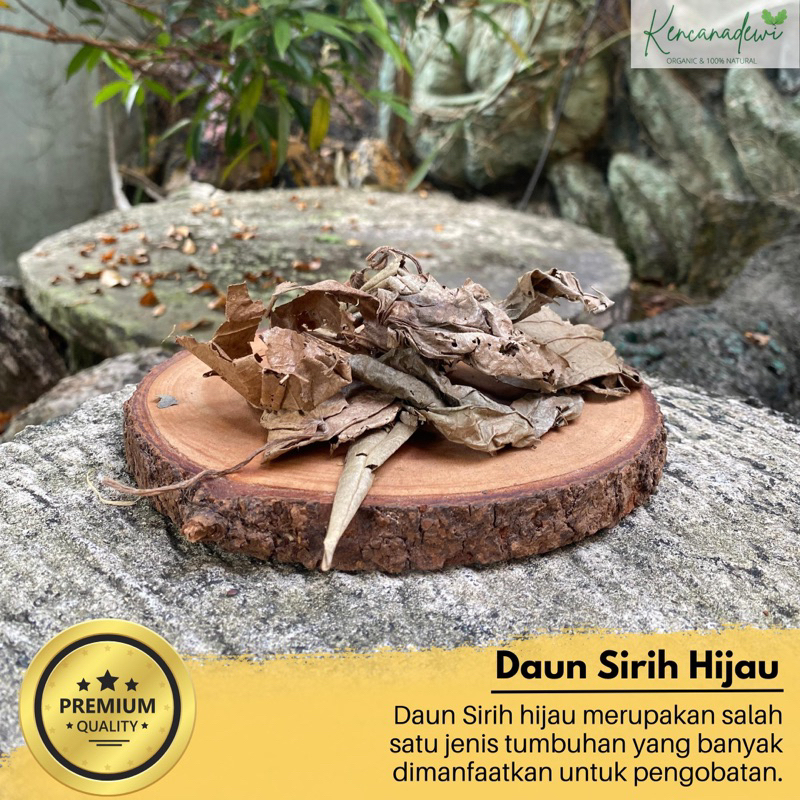 

DAUN SIRIH HIJAU KERING 250GRAM