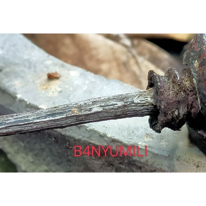 Tombak_lurus_original_sepuh