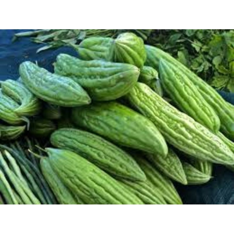 

Sayur Pare 500 gr