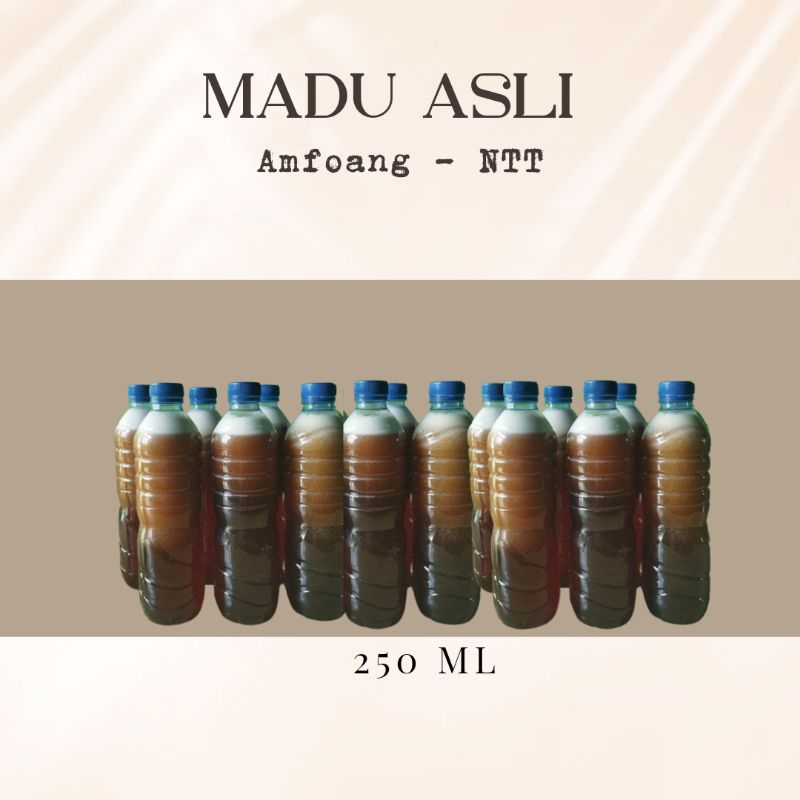 

Madu Asli, Madu Amfoang, Madu Asli NTT