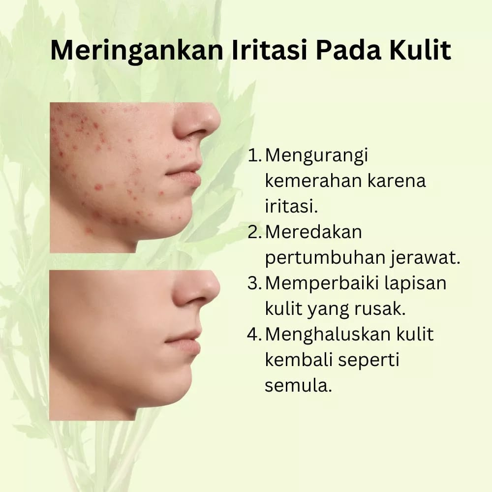 BPOM MASKER STIK JERAWAT FEALI MUGWORT CLAY STICK ACNE AND REAPIRING CLAY STICK MUD FACILA MASK MASKER MAJAH STIK