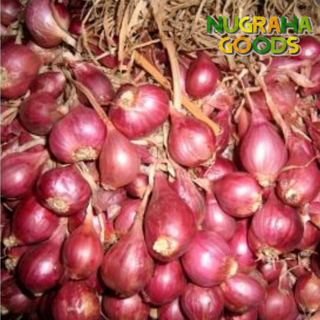 

BAWANG MERAH BREBES ASLI BESAR 1 KG HARGA GROSIR