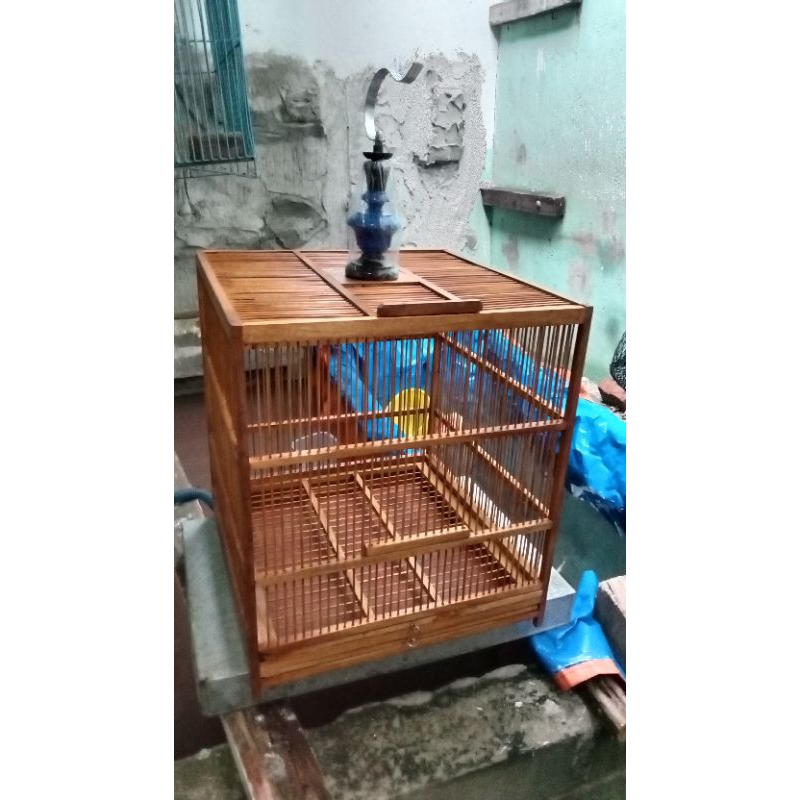 Sangkar Penjinak Wambi Jumbo