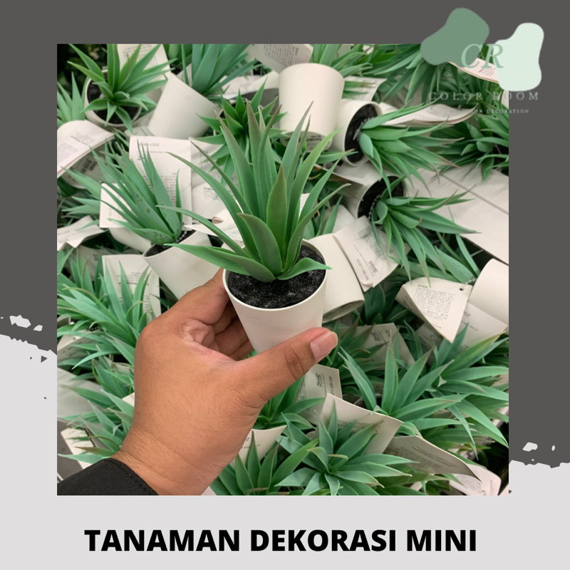 FJK Tanaman tiruan dengan pot, dalam/luar ruang sukulen, tanaman artifical, 6 cm