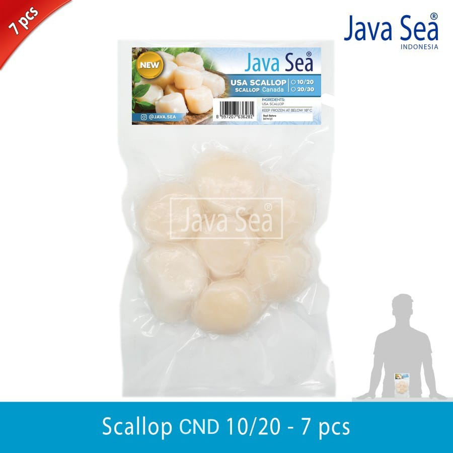 

Scallop CND 10/20 isi 7 pcs per pack JAVA SEA