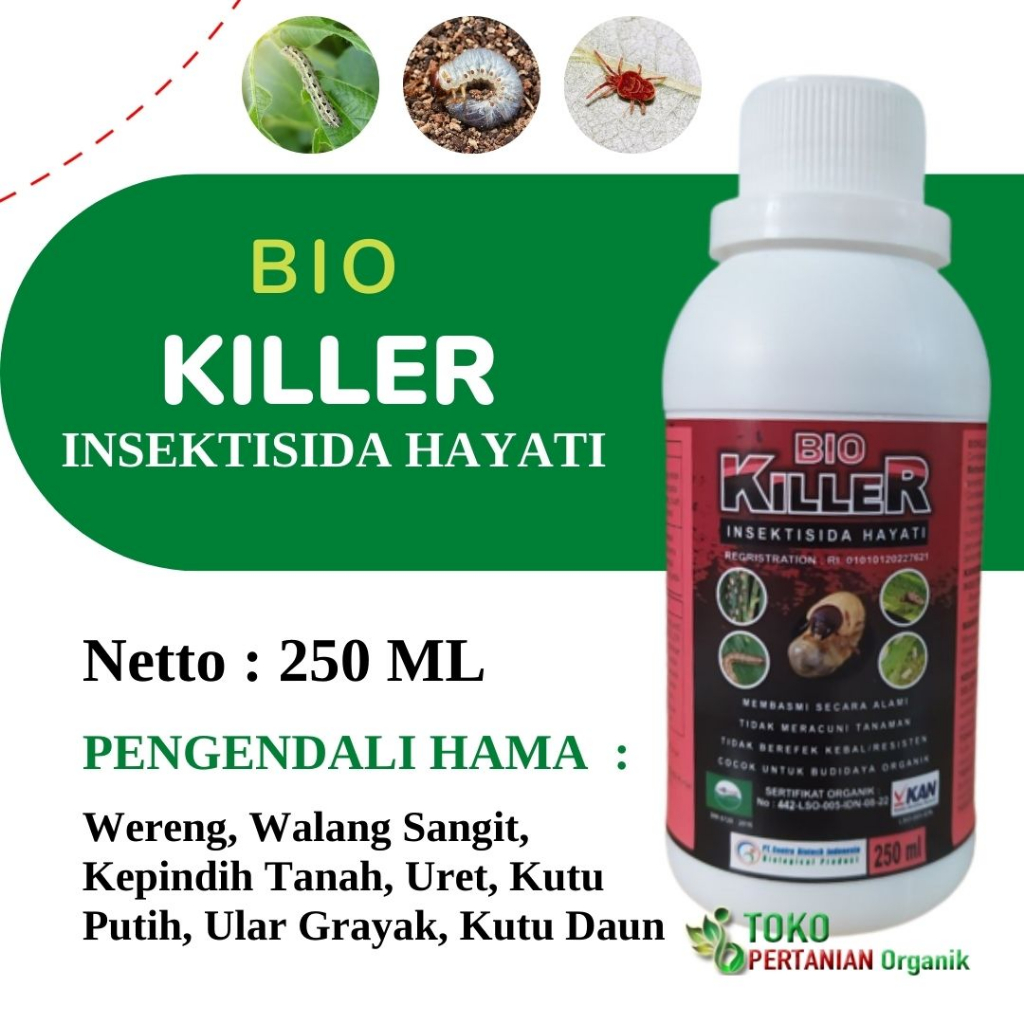 Obat Pembasmi hama tanaman jeruk paling ampuh, BIO KILLER pengendali hama tanaman padi