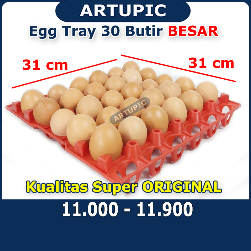 Egg tray ayam bebek 30 butir nampan tempat telur ayam bebek petelur plastik