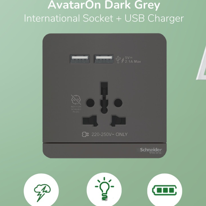 Schneider Electric Avatar On Int Socket 16A USB 2.1A - E8342616USB DG