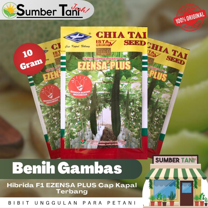Bibit Benih Gambas Oyong EZENSA PLUS 10 gram Cap Kapal Terbang
