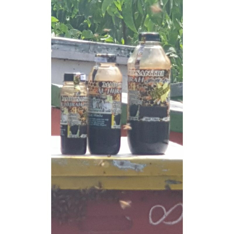 

madu akasia Santri Al Hijrah 1kg