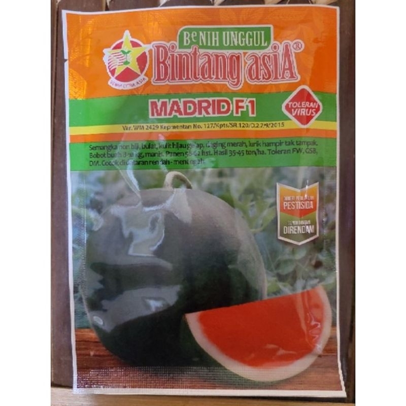 Benih bibit Semangka non biji Madrid F1 20 gram kemasan original
