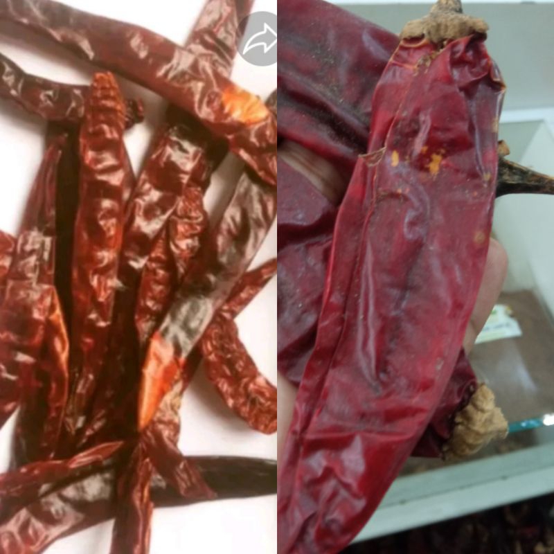 

Cabe Merah Kering Teja | Chili Dry | Campli Kleng | Cabe Grmbung 250 gr