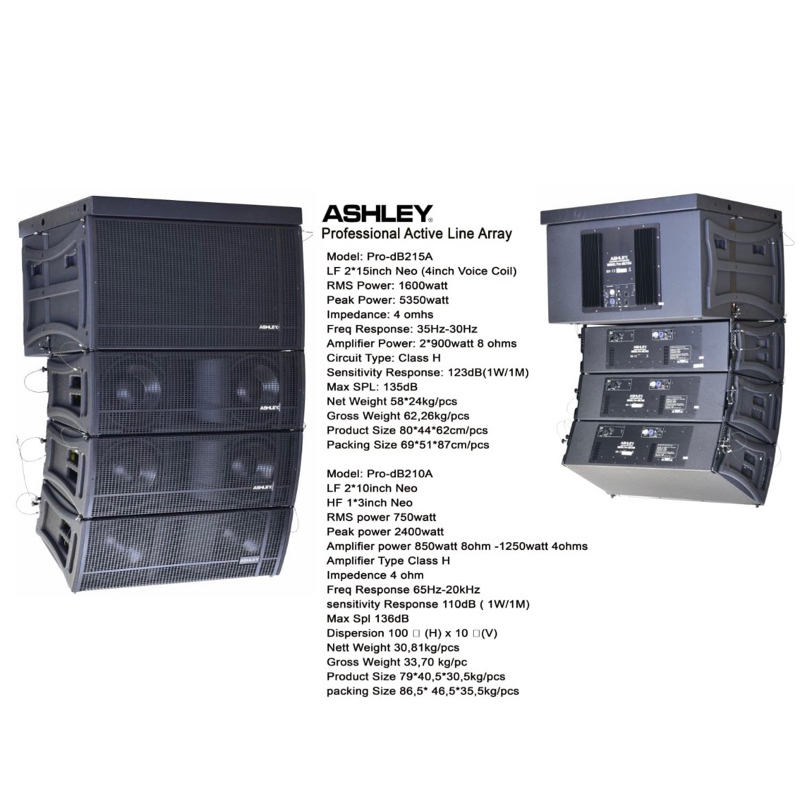 Speaker Line Array Ashley pro-dB210A -10 inch Flying Sub Pro-dB215A - 15 inch