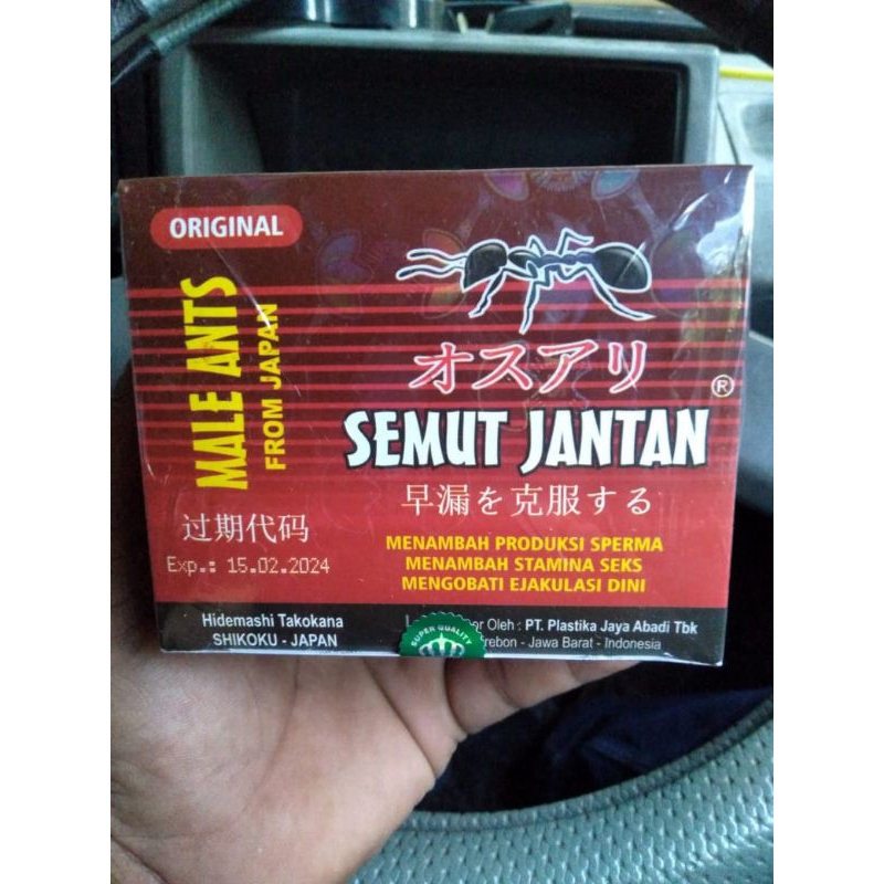 SEMUT JANTAN ORIGINAL