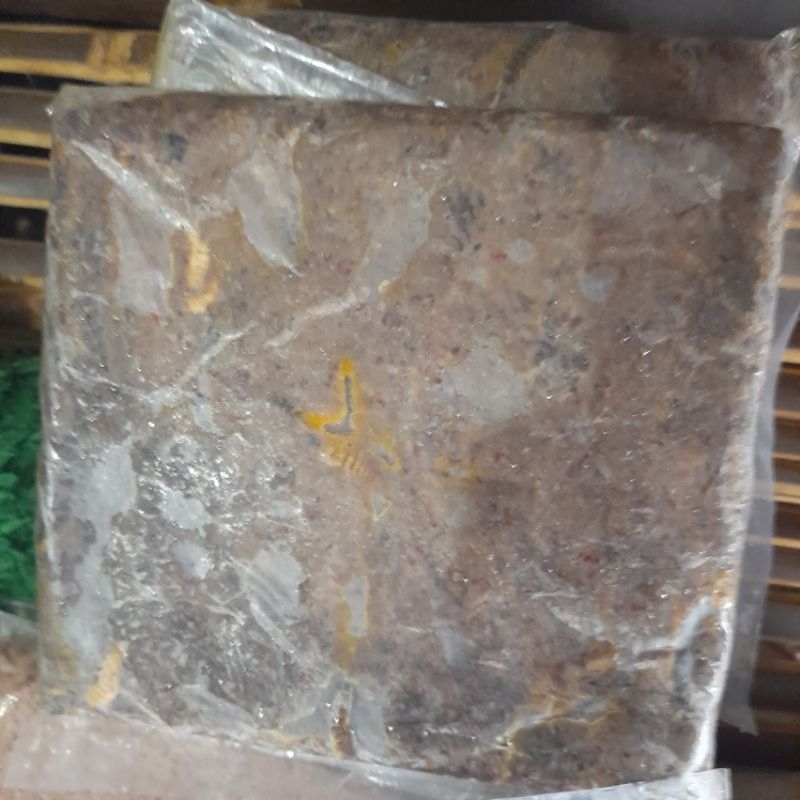 pelet magot umpan galatama