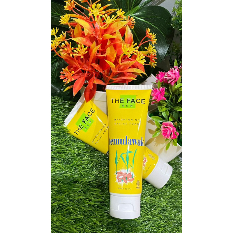 FACIAL FOAM TEMULAWAK THE FACE BPOM
