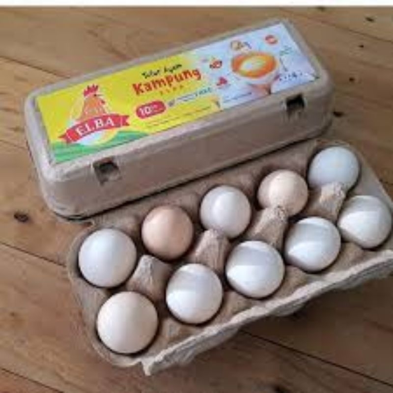 TELUR FERTIL AYAM MERAWANG X BARREDROCK  UNTUK DITETESKAN