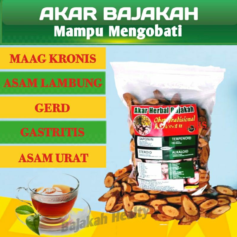 Akar Herbal Bajakah Kalalawit Merah Obat Maag Kronis Obat Asam Lambung Asli Kalimantan