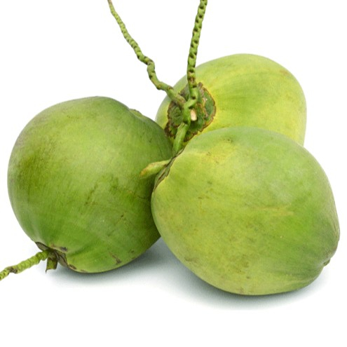 

kelapa muda ijo 1buah