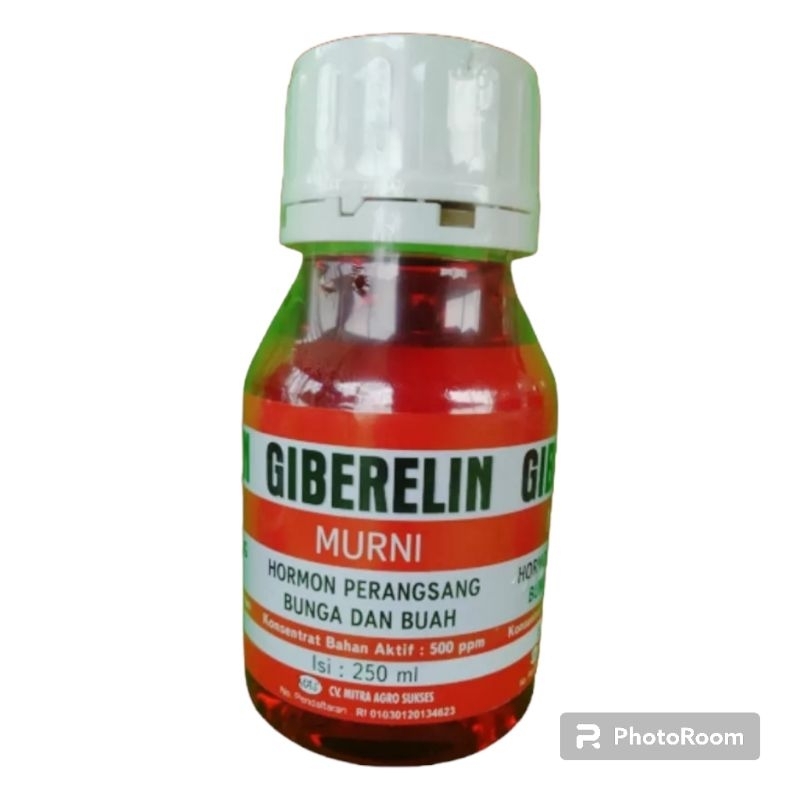 Giberlin Murni 250ml Perangsang Bunga dan Buah