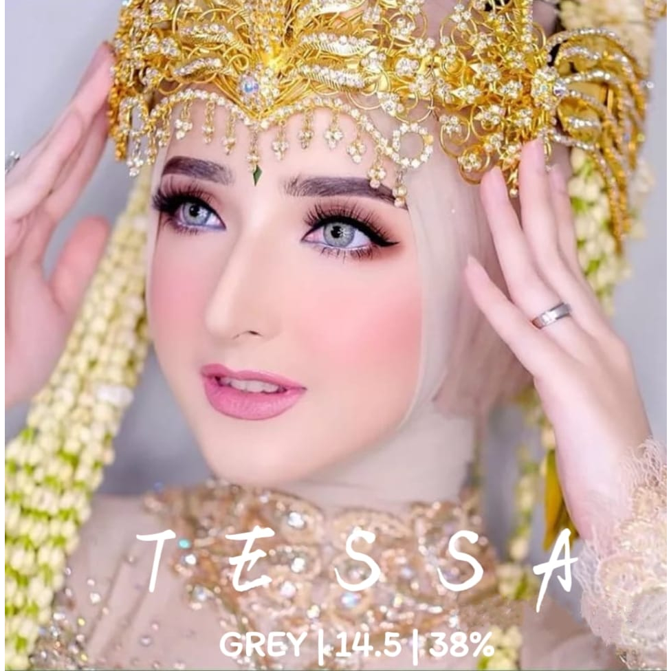 SOFTLENS TESSA ( TRS ) NORMAL BY URBAN FACTORY 14.5 MM