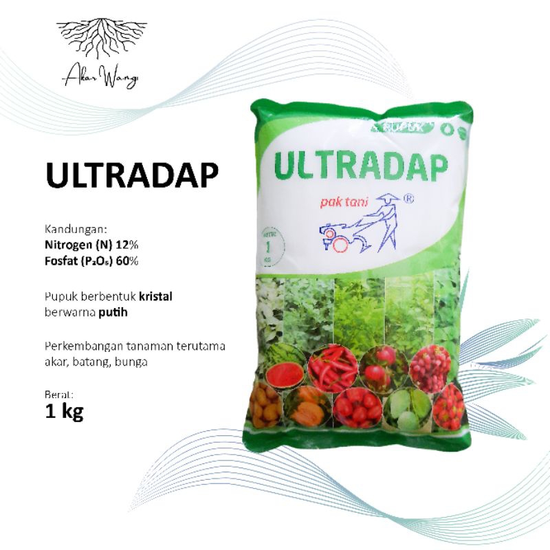 ULTRADAP 1 KG