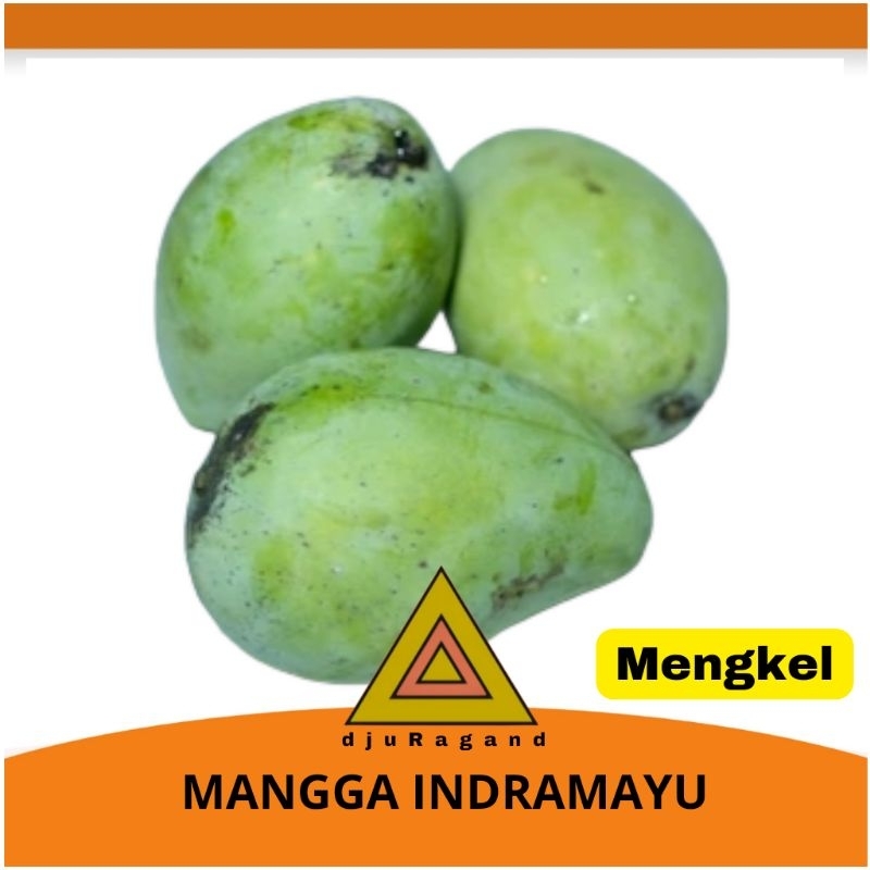 

Mangga indramayu mengkel 1000 gram