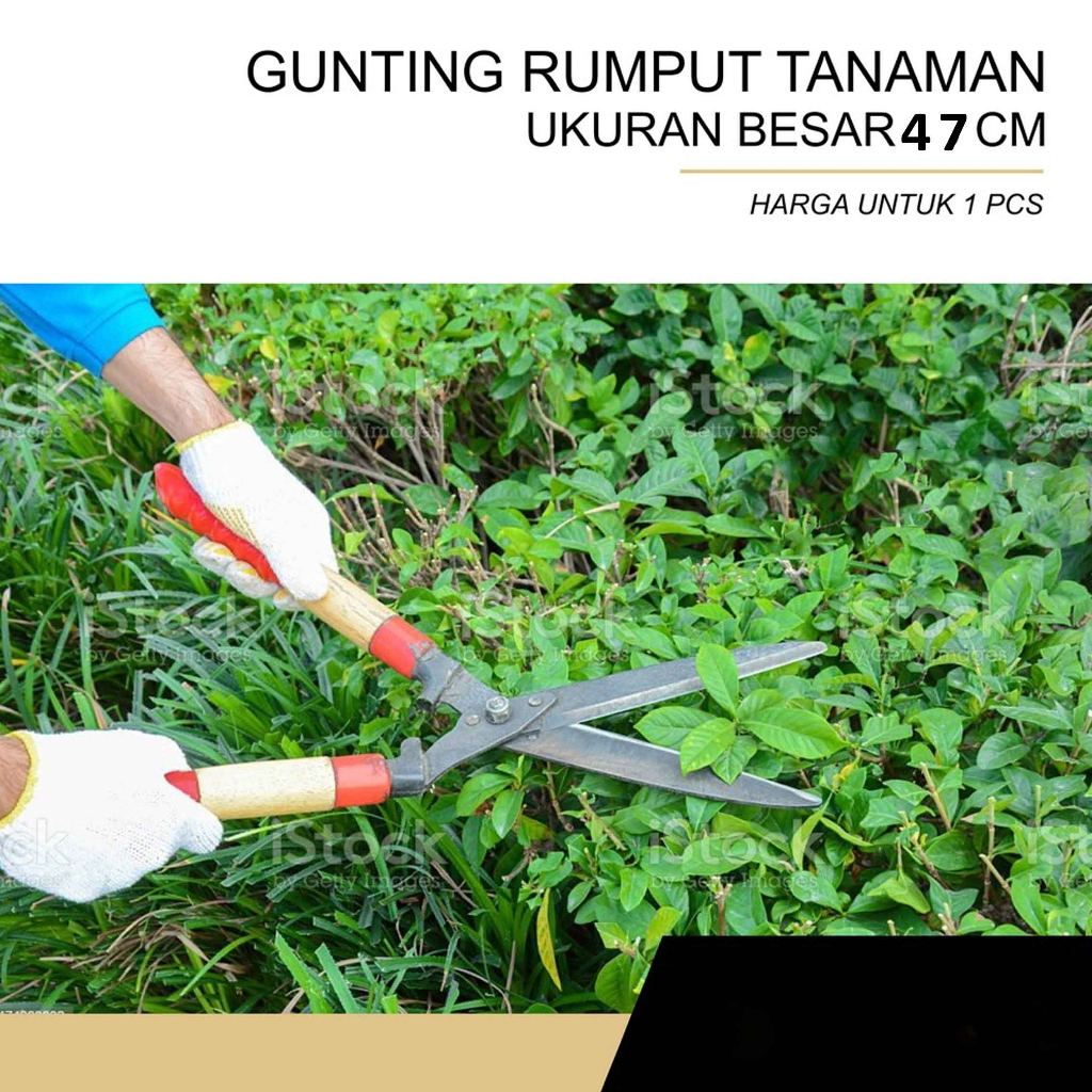 Gunting Rumput / Gunting Gagang Kayu / Gunting Stainless / Uk.47cm