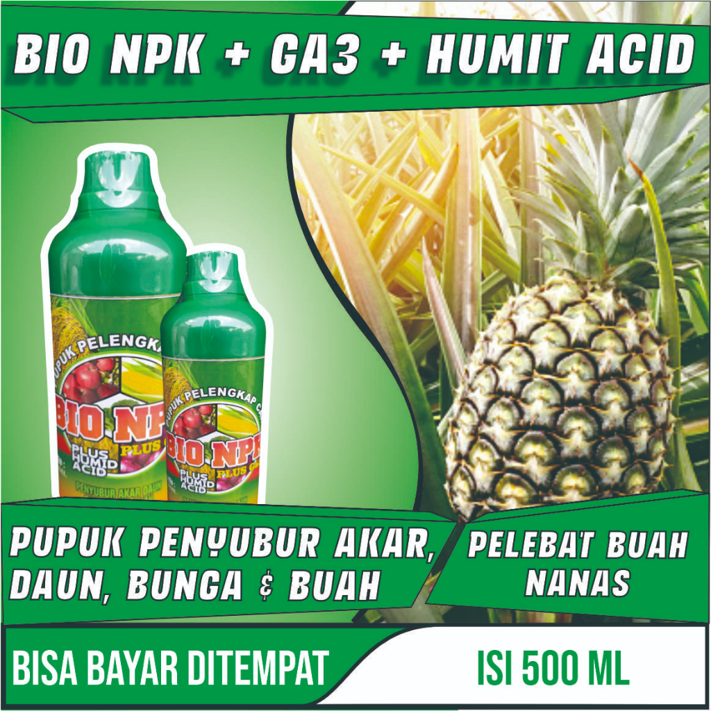 Obat Pelebat Buah Nanas Paling Bagus Bio Npk Gaza Pupuk Npk Cair Alami Pelebat,Perangsang,Pembesar B