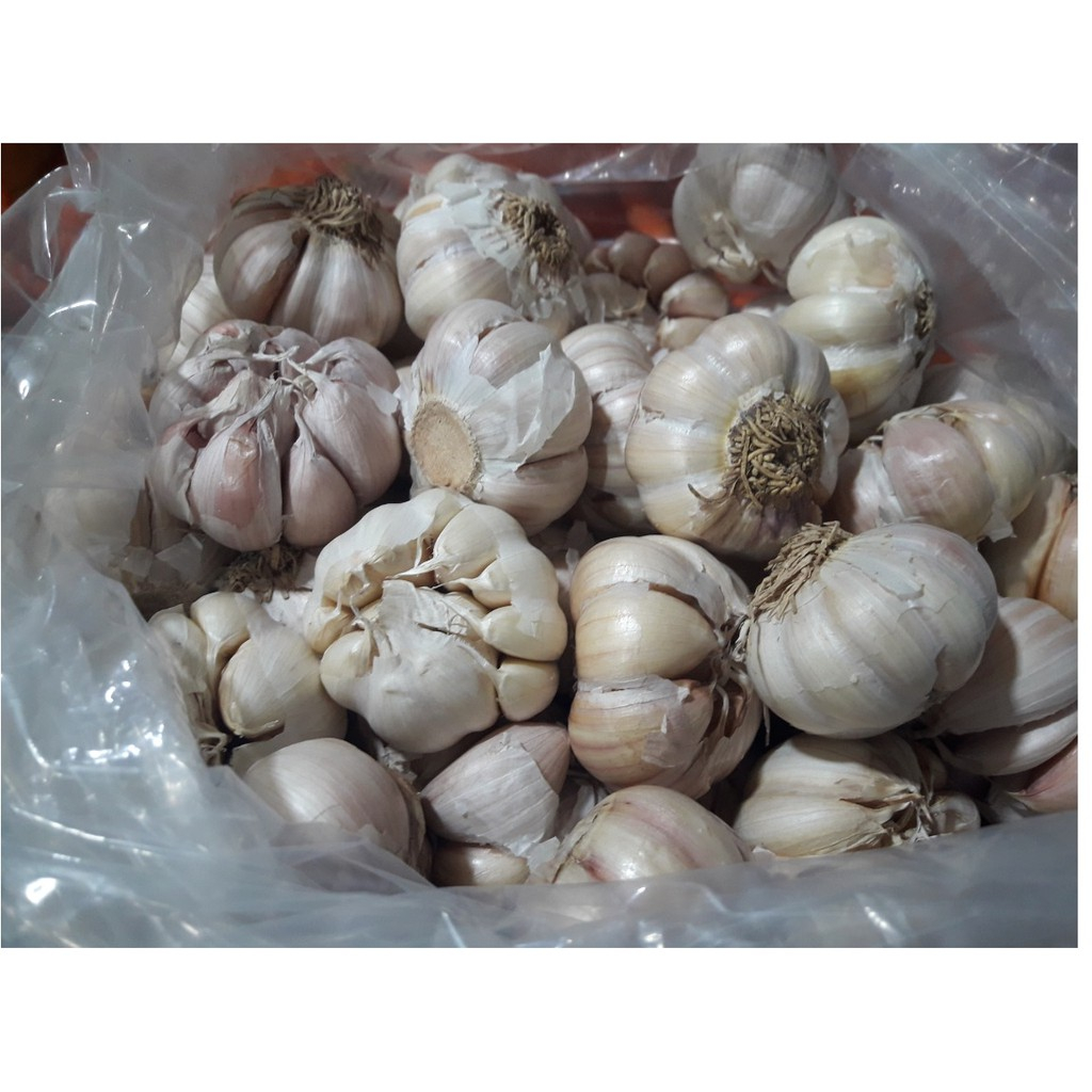 

Bawang Putih / 250gr