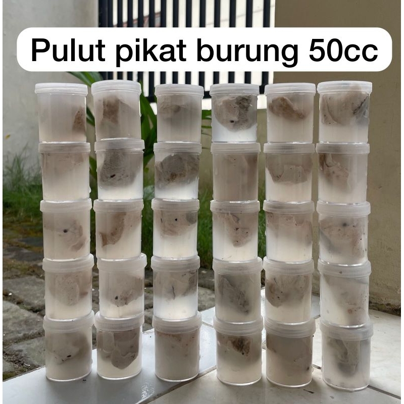 Promo pulut pikat burung super lengket. Harga murah Grosir