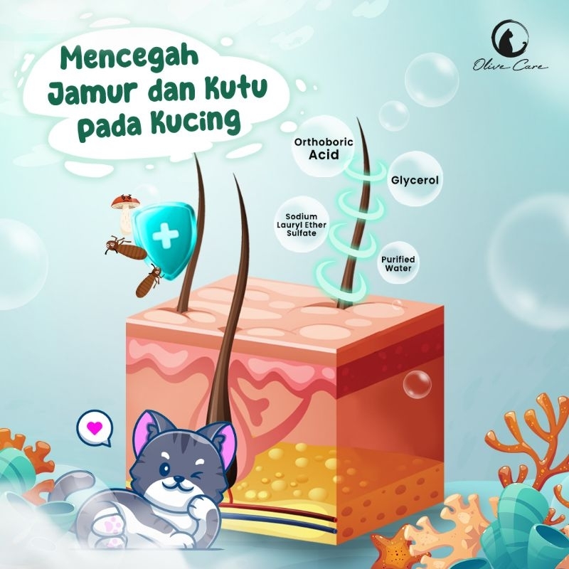 OLIVE CARE SHAMPO KUCING ANTI FUNGAL &amp; FLEAS UNTUK JAMUR, KUTU, SCABIES DAN PARASIT