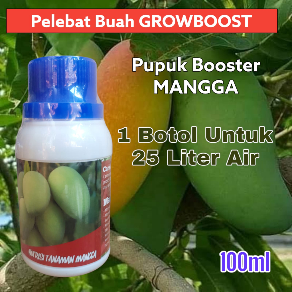 Pupuk Buah Mangga Premium Organik GrowBoost Buah Mangga 100ml