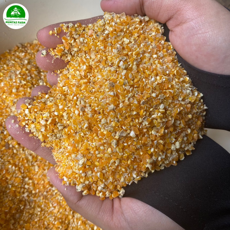 JAGUNG MENIR SUPER BERSIH 1kg , nasi jagung,  beras jagung, jagung menir pakan burung pakan ayam, ja