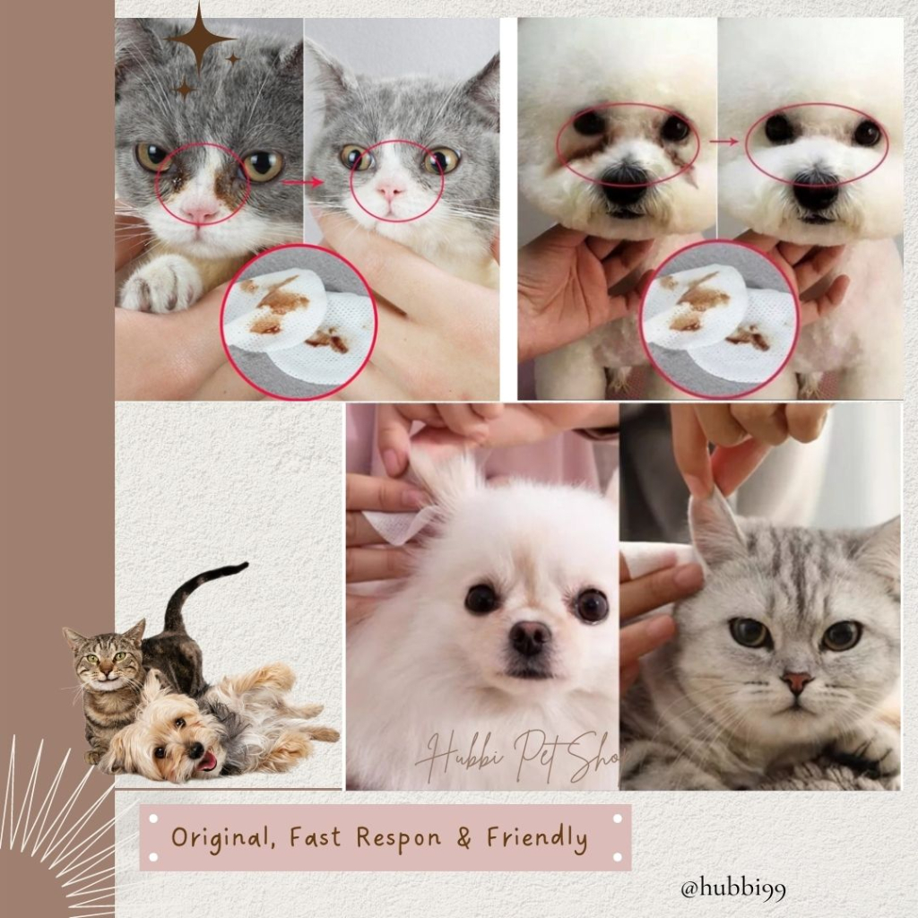 Tissue pembersih telinga dan mata kucing anjing-Tisu Basah Kucing-Tisu Mata telinga Kucing Anjing