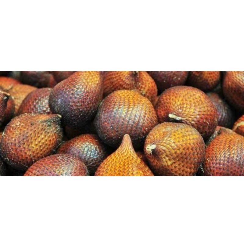 

buah salak