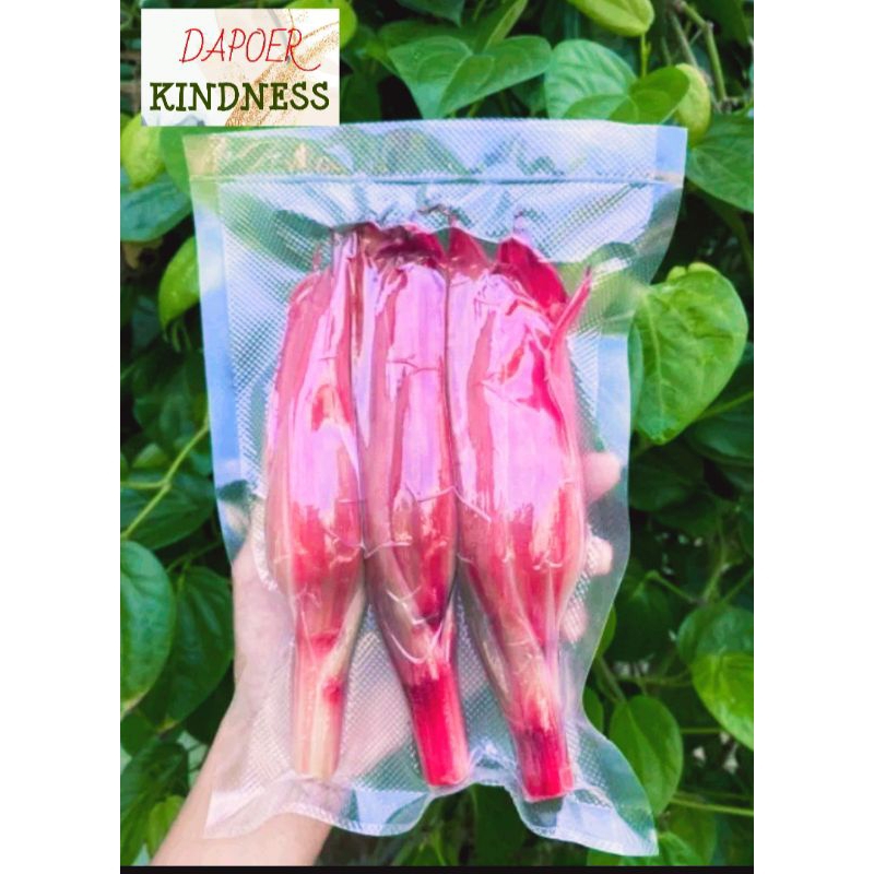 

Kincung/Kecombrang Khas Siantar Kemasan Vacuum Sealer