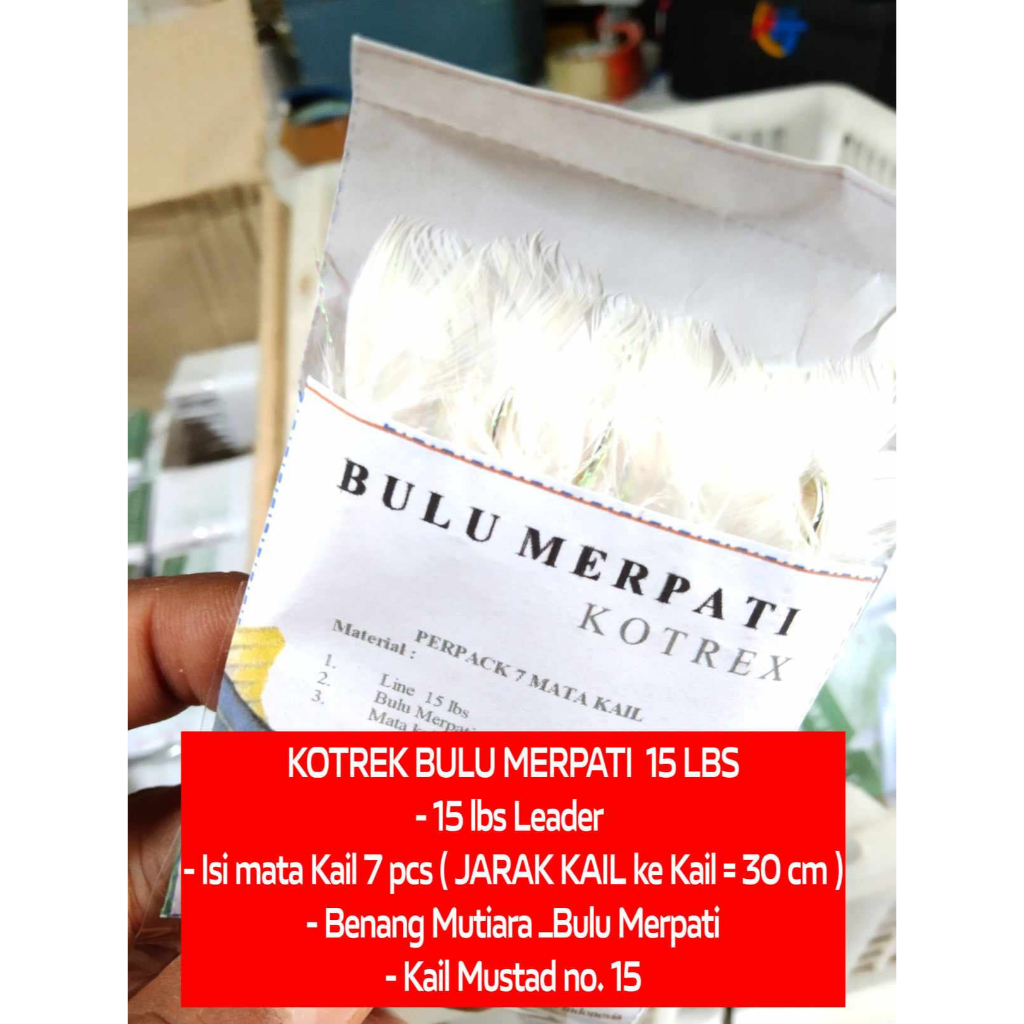 KOTREKAN SABIKI BULU MERPATI / ANGSA