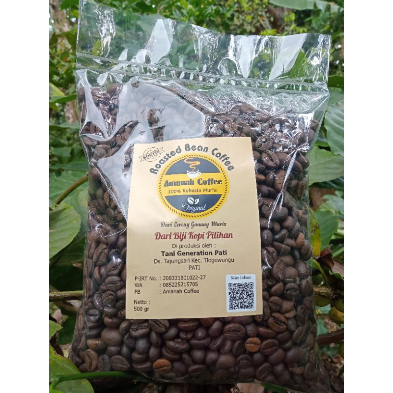 

BIJI KOPI SANGRAI/ROAST BIEN 500GR ROBUSTA MURIA ORIGINAL