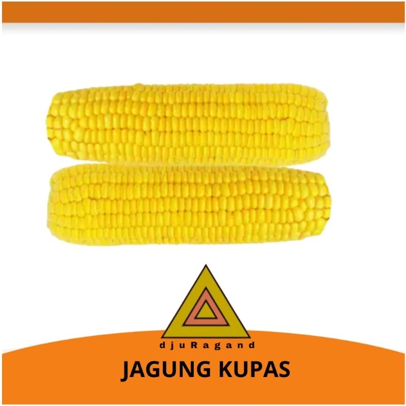 

Jagung kupas segar 1 kg