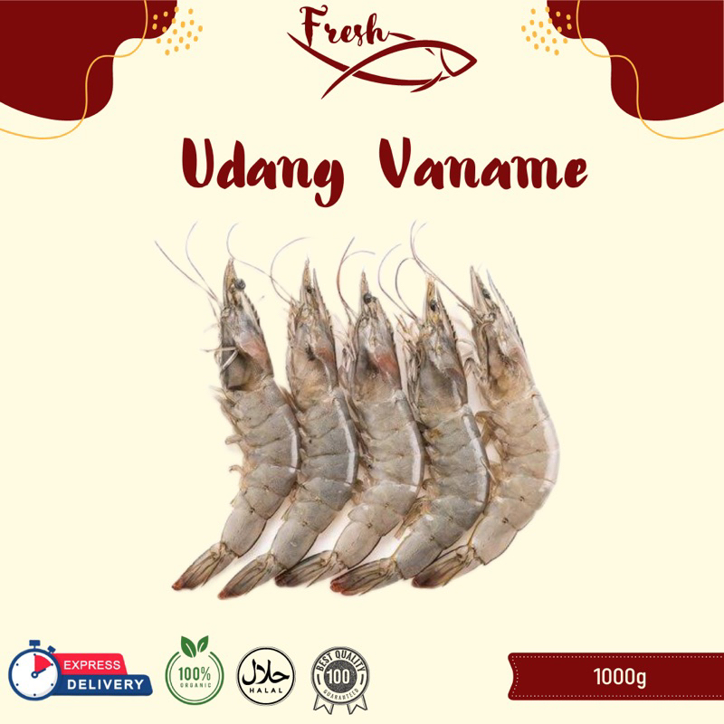 

UDANG VANAME/PANAMI FRESH 1kg