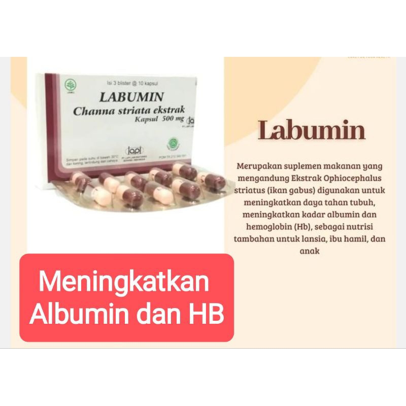 Labumin Per BOX (Ekstra Ikan Gabus Untuk Meningkatkan Kadar Albumin)