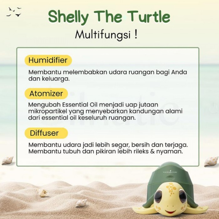 Shelly The Turtle Young Living Babymaniashop