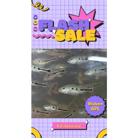 Pbass Mono Good Mark 6-8 CM (Beli 3 Gratis 1)