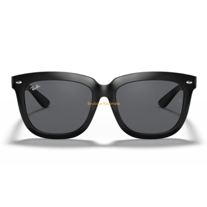 Kacamata Rayban Original Sunglasses RB4262D