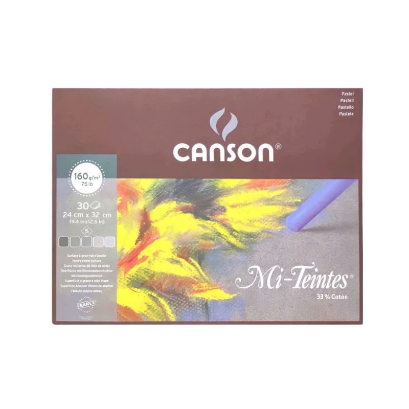 

Canson Mi-Teintes Assorted Grey Tones 24x32 160g