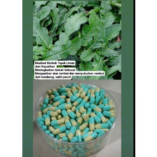 Keputihan| Gairah Seksual | kesehatan rambut