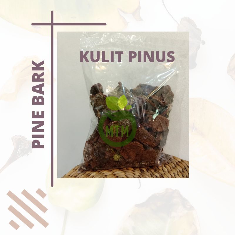 KULIT PINUS PINE BARK MEDIA TANAM ANGGREK